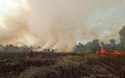 700 Hotspot Muncul di Sumsel, Bulan Mei Terbanyak<