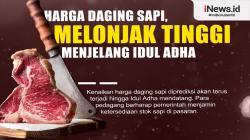 Infografis Harga Daging Sapi di Banjarnegara Naik Jelang Idul Adha