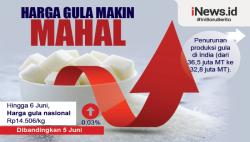 Infografis Harga Gula Makin Mahal
