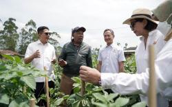 Hari Keamanan Pangan Sedunia, Pentingnya Harmonisasi Standar Pengolahan Pangan di ASEAN