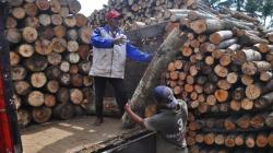 Sejumlah Pabrik Kayu Lapis di Temanggung Kurangi Jam Kerja Karyawan, Ada Apa?