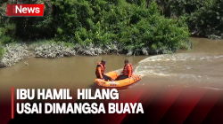Ibu Hamil di Sumut Hilang Usai Dimangsa Buaya saat Cuci Baju di Sungai