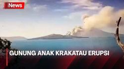 Gunung Anak Krakatau Catatkan 4 Kali Erupsi