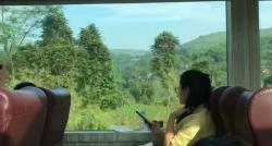 Wisata ke Bandung Naik Kereta Panoramic, Pemandangannya Indah Lewati Terowongan Sasaksaat