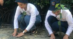 Fakta Menarik Pohon Mangrove di Kepulauan Seribu, Ternyata Bisa untuk Sabun Mandi 