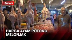 Harga Ayam Potong di Bandung Melonjak Jelang Idul Adha<