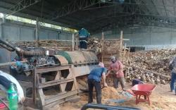 5 Daerah Penghasil Kelapa Terbesar di Sumsel, Tertinggi dari Tetangga Palembang <