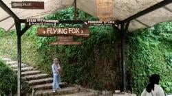 Flying Fox Terpanjang se-Indonesia Ternyata Ada di Situ Gunung Sukabumi <