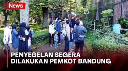 Polemik Kepemilikan Lahan Kebun Binatang Bandung Kian Runcing<