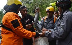 Ular King Kobra Panjang 3,5 Meter Kembali Diburu setelah Dilepas di Gunung Wilis