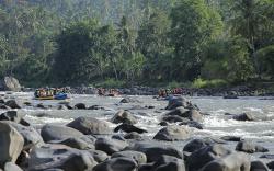 Gelar Lomba Arung Jeram Nasional, Dinas Pariwisata Kulonprogo Kembangkan Sport Tourism<