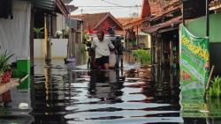 Ratusan Rumah di Kota Pekalongan Kembali Terendam Banjir Rob<