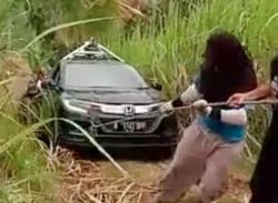 Mobil Google Maps Tersesat Jalan di Malang, Terjebak di Tengah Kebun Tebu