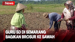 Kekurangan Murid, Guru SD di Semarang Rela Bagikan Brosur ke Tengah Sawah