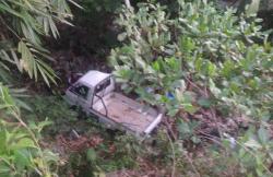 Tabrakan dengan Motor yang Tiba-Tiba Berbelok, Pikap Terjun ke Jurang 