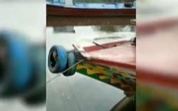 Kemunculan Buaya Liar Sepanjang 6 Meter Resahkan Warga Teluk Betung Banyuasin <