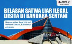 Infografis Penyelundupan Belasan Satwa Liar Digagalkan di Bandara Sentani Jayapura