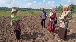 Demi Dapat Murid Baru, Guru SD Negeri di Semarang Turun ke Sawah Bagikan Brosur 
