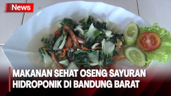 Nikmat dan Lezat Mencicipi Makanan Sehat Oseng Sayuran Hidroponik di Bandung Barat <