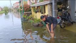 Banjir Rob Masih Rendam Ratusan Rumah di Pekalongan, Kondisi Warga Memprihatinkan<