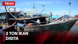 3 Ton Lebih Ikan Hasil Penangkapan Ilegal Disita di Aceh, Dua Orang Ditetapkan Tersangka