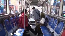 3 Golongan Penumpang Ini Gratis Naik Bus TMP Bandung, Berlaku Mulai 1 Juli 2023 <