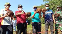  50 Ton Porang Asal Jateng Tembus Pasar Tiongkok<