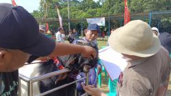 Waspada Penyakit PPR, Dinperpa Pekalongan: Hati-hati Jual Beli Hewan Kurban!<
