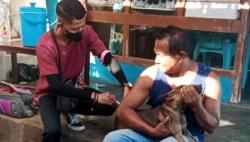 Dinkes Kalbar Minta Kabupaten-Kota Bentuk Rabies Center, 2 Wilayah Ini Jadi Catatan<