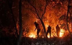 5 Hektare Hutan di Gunung Nangorak Sumedang Terbakar<