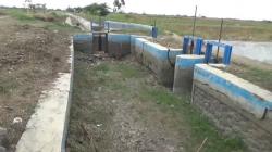 Kekeringan Mulai Landa Brebes, Ratusan Hektare Tanaman Padi Terancam Puso 