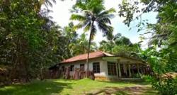 Kampung Unik di Kebumen, Singgah ke Desa Tertuanya Pengunjung yang Datang Selalu Tersesat!