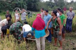 Asma Kambuh, Petani Kebumen Ditemukan Tewas Tergeletak di Sawah