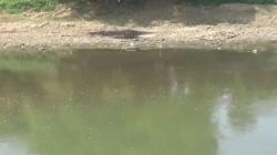 Sungai Bengawan Solo Tercemar Limbah, PDAM Sempat Hentikan Pengolahan Air