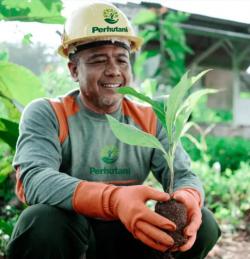  Aplikasi SocioForest Resmi Diluncurkan, Ini Tugas Khusus 5 BUMN 