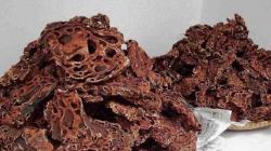 Ciri-Ciri Sarang Semut Papua yang Asli, Teliti agar Tidak Tertipu