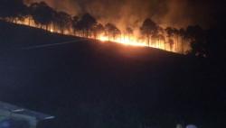 Kebakaran Lahan di Kabupaten Dairi, Api Sulit Dikendalikan