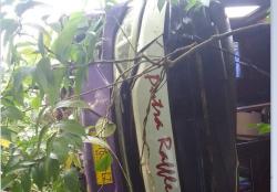 Kecelakaan di Lahat, Bus Angkut Puluhan Penumpang Tujuan Solo Masuk Jurang