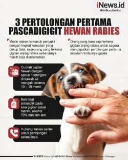 Infografis 3  Pertolongan Pertama Pascadigigit Hewan Rabies 