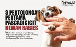 Infografis 3  Pertolongan Pertama Pascadigigit Hewan Rabies 