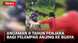 Video Lempar Anjing ke Buaya Viral, Para Pelaku Terancam 9 Tahun Penjara