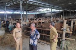 DKPP Bantul Minta Masyarakat Teliti Beli Hewan Kurban, Pastikan Ada SKKH 