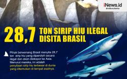 Infografis 28,7 Ton Sirip Hiu Ilegal Disita Otoritas Brasil
