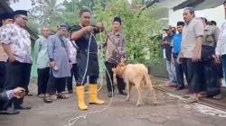 Ratusan Tukang Sembelih Hewan Kurban di Cilacap Diedukasi Jelang Idul Adha