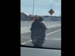 Viral Pemotor Emak-Emak Masuk Jalan Tol Layang Pettarani Makassar