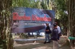 Kampung Unik di Balikpapan, Singgah ke Desa Hutan Bambu dengan Suasana Asri