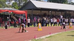 Ribuan Atlet dari 33 Provinsi Ikuti Kejurnas Atletik 2023 di Solo