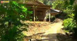 Kampung Unik di Kebumen, Hanya di Desa Ini Warga Tidak Berani Gelar Kesenian Wayang