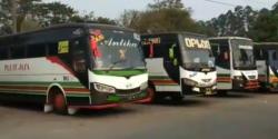 Mengenang PO Bus Legendaris Pluit Jaya, Sempat Booming hingga Tampil di Film Kini Tinggal Sejarah