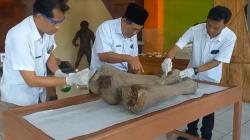 Fosil Kaki Gajah Berusia Ribuan Tahun Ditemukan di Blora <